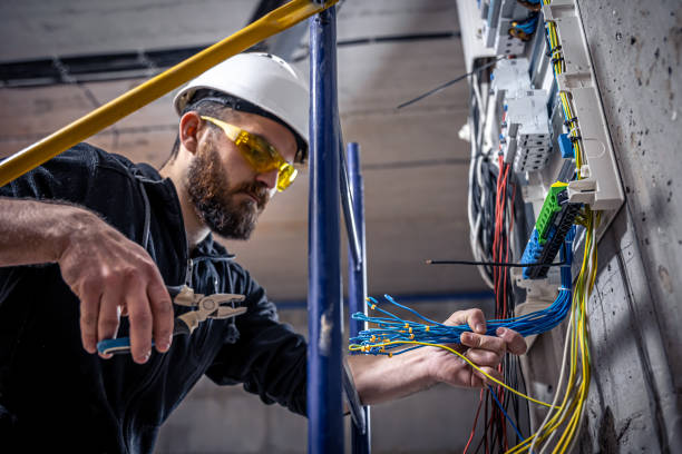 Best Electric Panel Repair  in Dove Valley, CO