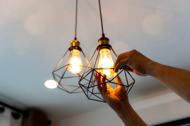 Best Electrician for Home Renovation  in Dove Valley, CO